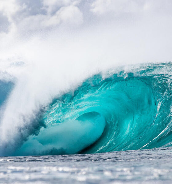 Pipeline, Havaí, Hawaii, North Shore de Oahu, World Surf League, WSL, Circuito Mundial de Surf. Foto: WSL