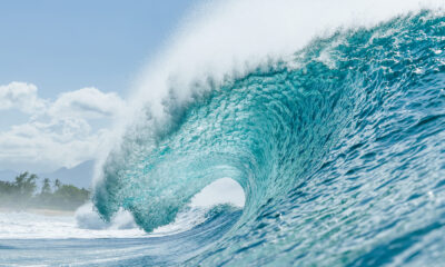 Lexus Pipe Pro 2025, Banzai Pipeline, Hawaii, North Shore de Oahu, WSL, World Surf League, Circuito Mundial de Surf, Havaí. Foto: WSL / Brent Bielmann