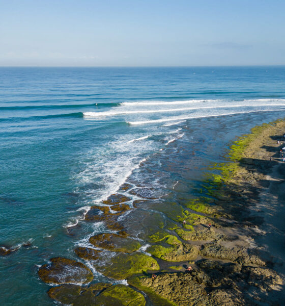 MonaLisaPt.1 LUIP24 P3000103 Elecho