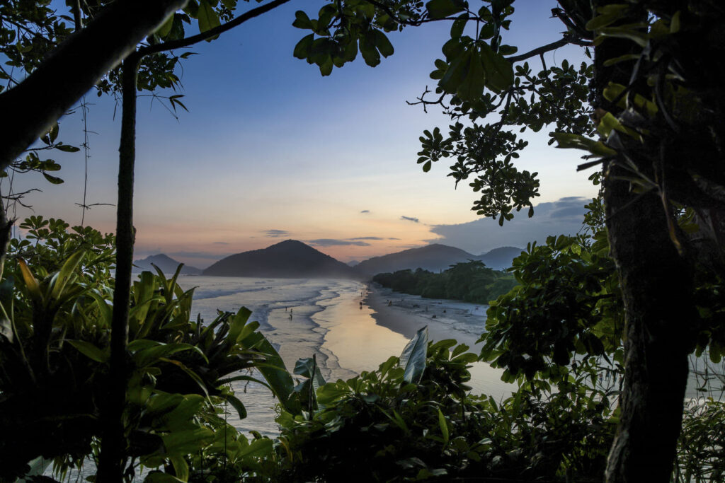 Praia de Itamambuca, Ubatuba (SP). Foto: Daniel Smorigo / WSL Brasil