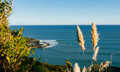Lineup 26Raglan ESS 6685 Ed Sloane